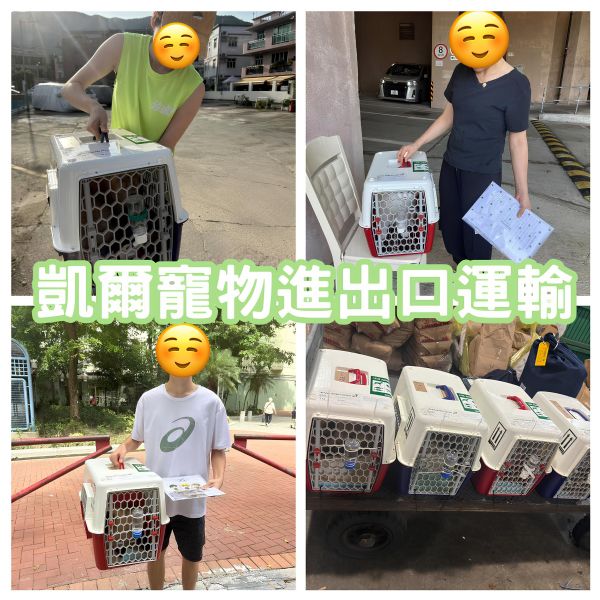 2025/07/03『香港』4隻貓貓一同出發飛香港~~~~
